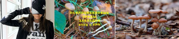 стаф Армянск
