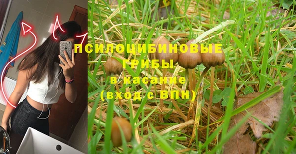 твердый Баксан