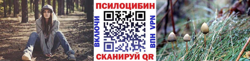 Псилоцибиновые грибы MAGIC MUSHROOMS  Горячеводский 